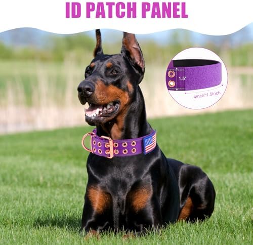 Heavy Duty Dog Collar for Medium Large Dogs,Purple,Large