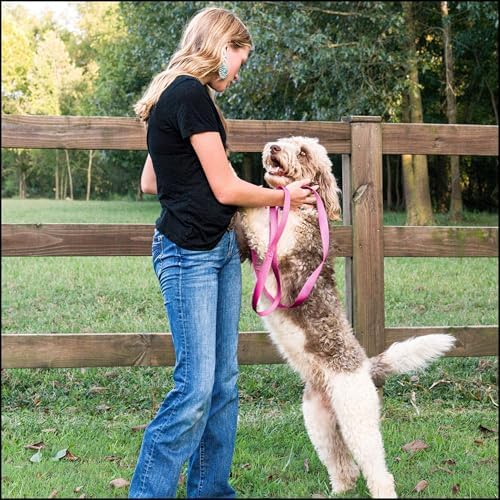 Country Brook Petz - Everyday Nylon Dog Collar for Large, Medium, and Small Dogs and Puppies - for Everyday Use in 30+ Colors (Medium, 3/4 Inch Wide, Rose)