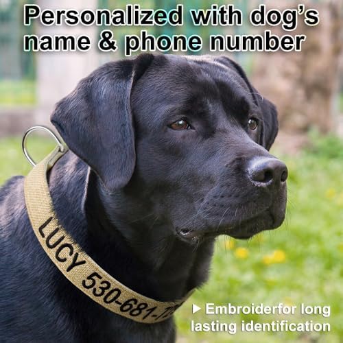 Personalized Cotton Hemp Dog Collar, Embroidered with Pet Name and Number