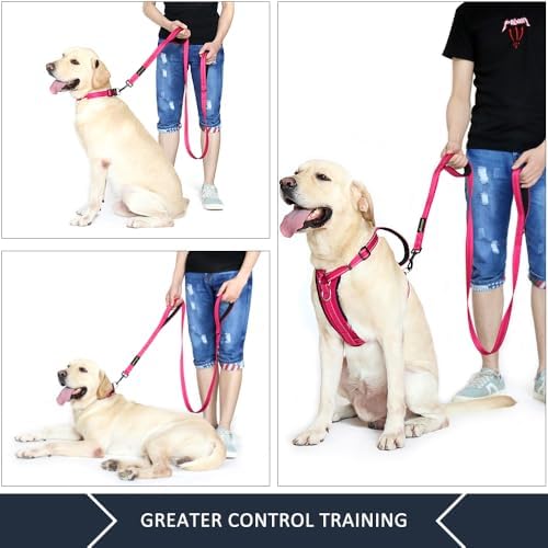 Plutus Pet Double Handle Dog Leash, 6 FT Long, for Medium Large Dogs