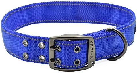 Max and Neo MAX Reflective Metal Buckle Dog Collar - We Donate a Collar to a Dog Rescue for Every Collar Sold (X-Large, Blue)