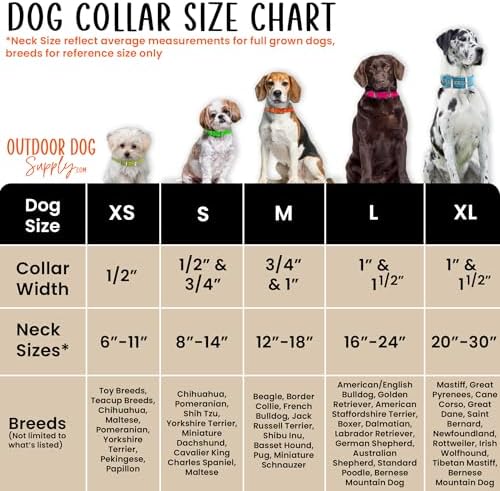 Heavy Duty Waterproof D-Ring Dog Collar w Custom Name Tag, Silver 18"