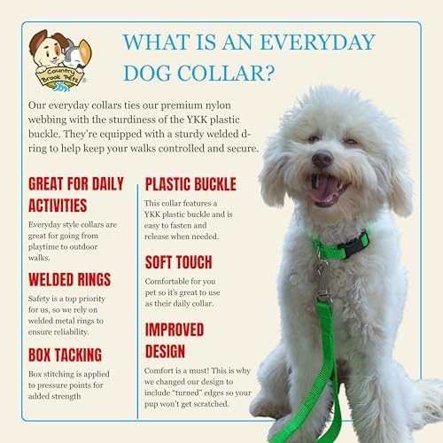 Country Brook Petz - Everyday Nylon Dog Collar for Large, Medium, and Small Dogs and Puppies - for Everyday Use in 30+ Colors (Medium, 3/4 Inch Wide, Hot Lime Green)