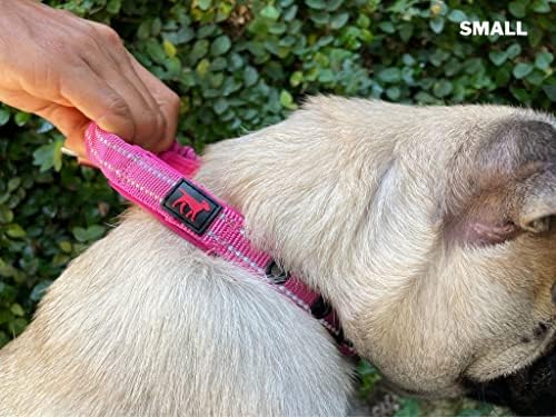 Tuff Pupper Heavy Duty Dog Collar with Handle | Ballistic Nylon Heavy Duty Collar | Padded Reflective Dog Collar with Adjustable Stainless Steel Hardware | Convenient Sizing for All Breeds