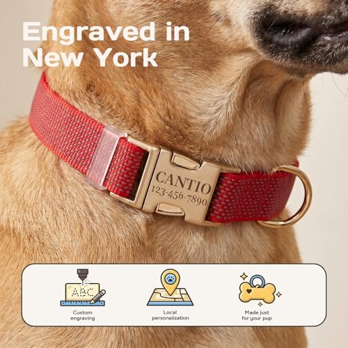 Custom Dog Collar with Name and Phone Number