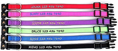 Personalized Dog Collar, Custom Embroidered with Pet Name and Phone Number