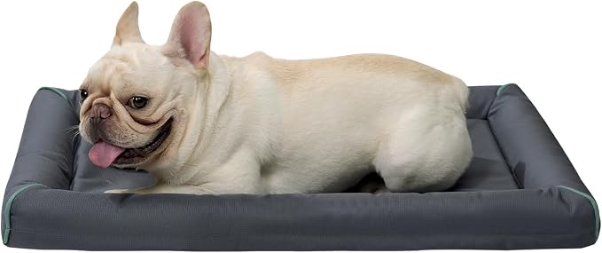 BALANCE Oxford Dog Bed for Medium Dogs, Waterproof Dogs Crates Pad Outdoor Dog Crate Mat, Wipe Clean & Easy Rinse, 30 inch