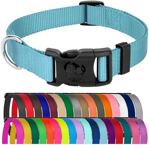 Country Brook Petz - Everyday Nylon Dog Collar for Large, Medium, and Small Dogs and Puppies - for Everyday Use in 30+ Colors (2XS, 3/8 Inch Wide, Ocean Blue)