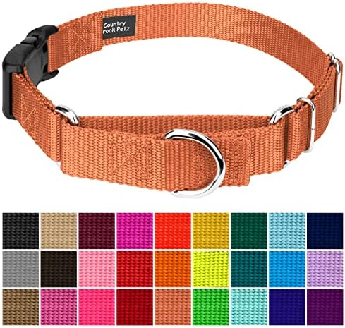 Martingale Dog Collar - Heavy Duty Nylon Adjustable Martingale Dog Collar with Plastic Buckle for Small Medium Large Breeds - 30+ Colors (1 Inch, Extra Large, Coral)