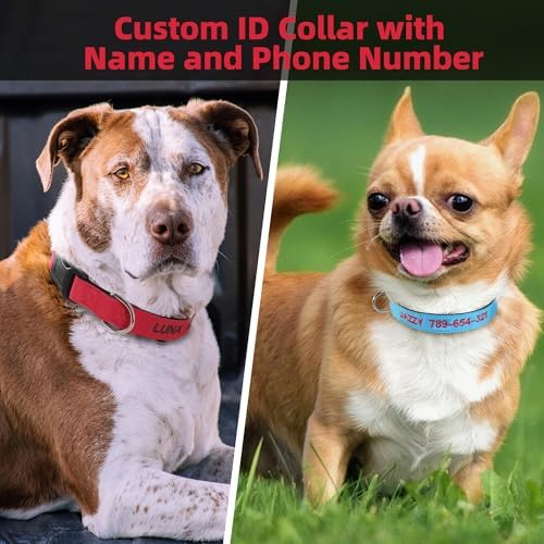 Kuley Personalized Dog Collar, Embroidered with Pet Name and Phone Number