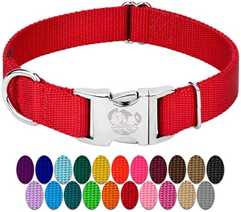 Country Brook Petz - Premium Nylon Dog Collar with Metal Buckle for Small Medium Large Breeds - 30+ Colors (Large, 1 Inch, Bright Red)