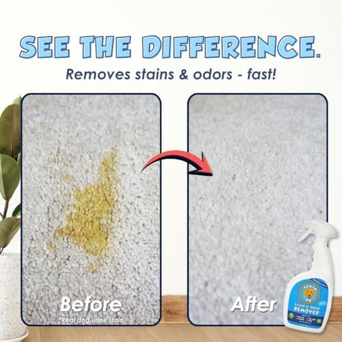 Pet Stain & Odor Remover – Carpet Cleaner Spray for Dog & Cat Urine, Feces, Vomit, Coffee & Wine Stains – Upholstery, Rugs & Furniture Cleaner – 24 oz