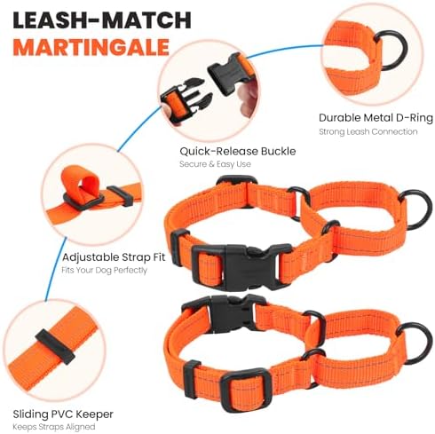 VIVAGLORY Double Handle Dog Leash Twingrip, 5ft x 1in, L, Orange