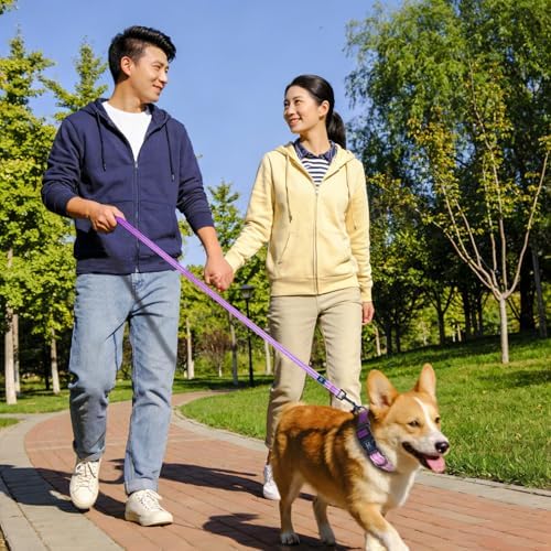 Roses&Poetry Lightpurple Large Dog Collar and Leash Set, Puppy Reflective Leashes with Collars, Adjustable Durable Matching Collar Leash for Large Dogs Girl (Lightpurple-L)