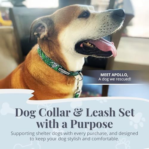 Lucky Love Dog Collar and Leash Set Matching Cute – Blue Laguna, X-Small