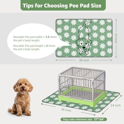 LOOBANI Washable Puppy Pads, Reusable Dog Pee Mat 36"x24", 2 Pack