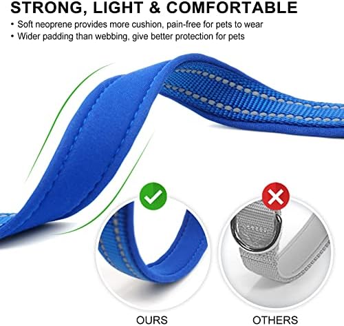 azuza Reflective Dog Collar, Neoprene Padded Puppy Collar, Royal Blue, XS