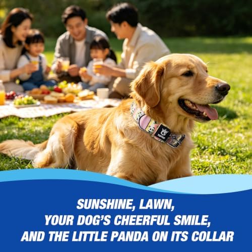 TSPRO Heavy Duty Thick Dog Collar with Metal Buckle for Medium Dogs