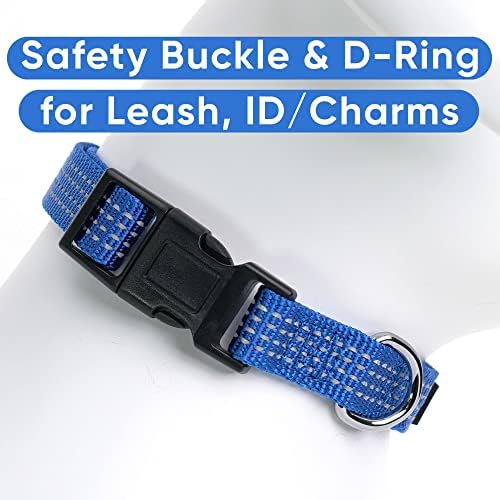 Pawtitas Reflective Dog Collar for Small Dogs – Adjustable Nylon Puppy Collar with Quick-Release Buckle | Fits Neck 11–16 in | Night Safety Training Collar | S | Blue