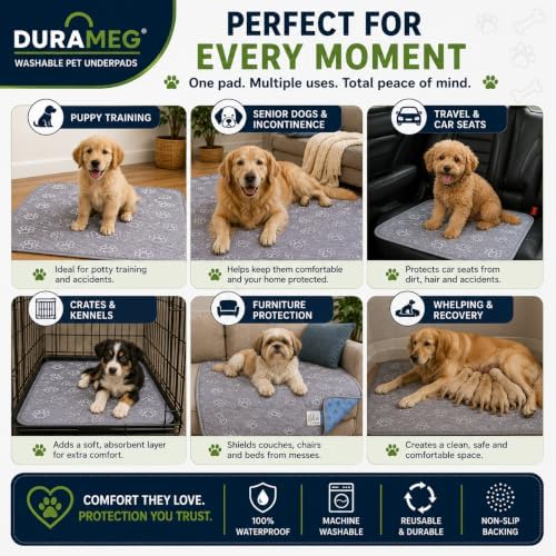 Washable Puppy Pads 36x36, 2 Pack Reusable Dog Pee Pads Pet Training Pads