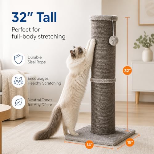 Cat Scratching Post with 5.5 Inch Diameter Sisal Post, 32 Inch, Grey