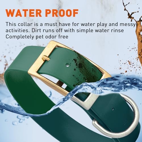 Viper Biothane Heavy Duty Waterproof Dog Collar Strong Coated Nylon Webbing w/Solid Brass Hardware Odor-Proof Easy to Clean High Performance Fits Small Medium or Large Dogs, Hunter Green