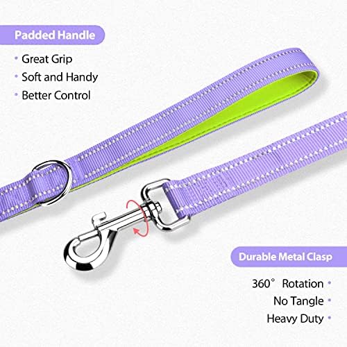 PHOEPET 5 Feet Dog Leash - Dual-Side Reflective - Soft Padded Handle