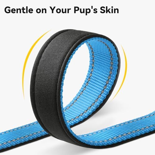 Joytale Personalized Dog Collar with Name Plate Built-in for XSmall Dogs