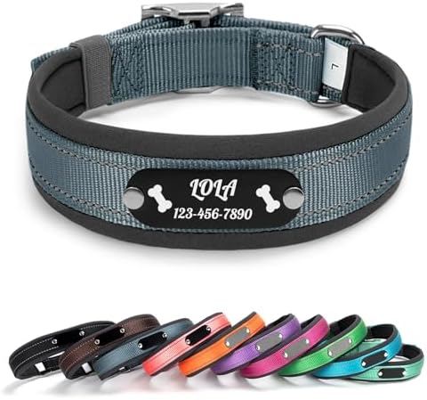 Personalized Reflective Dog Collar with Name, Gray: M
