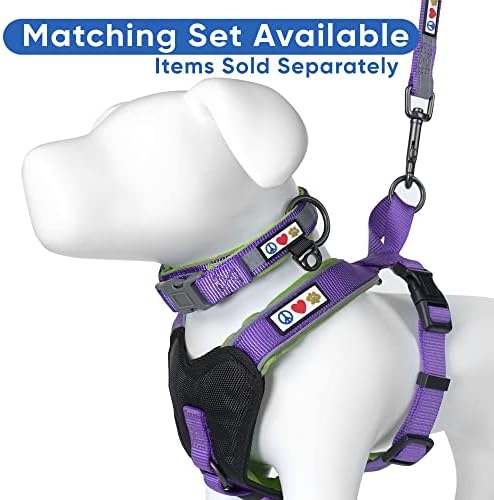 Pawtitas 6 FT Padded Dog Leash with Comfortable Neoprene Padding Handle - Purple Lead | Small Reflective Dog Leash with Highly Reflective Band Perfect for Extra Small and Small Dogs and Puppies.