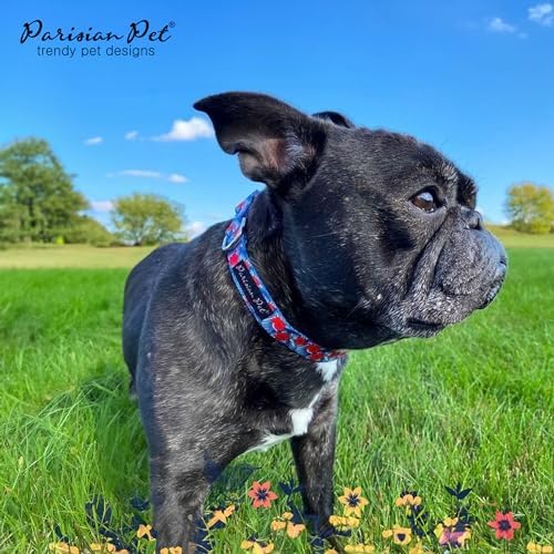 Parisian Pet Floral Dog Collar - Adjustable Hibiscus Pet Collar with Secure Buckle and Metal D-Ring - Comfortable Designer Blue Puppy Collars - Durable Tropical Nylon Dog Collars for Small Dogs