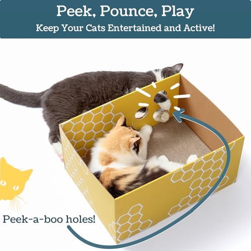 No-Mess Cardboard Cat Scratcher Box - Refillable Double-Sided Scratch Pad