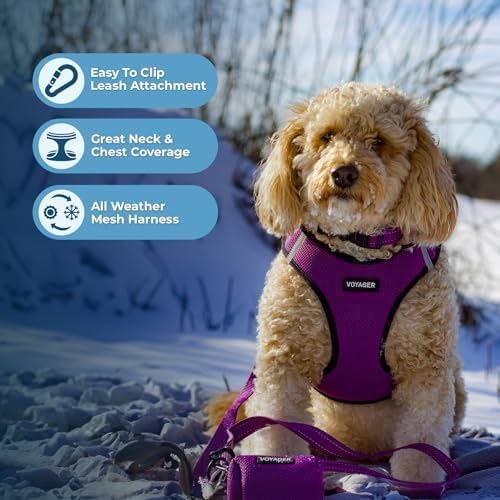 Voyager Step-in Air Dog Vest Harness - Purple/Black Trim, X-Small