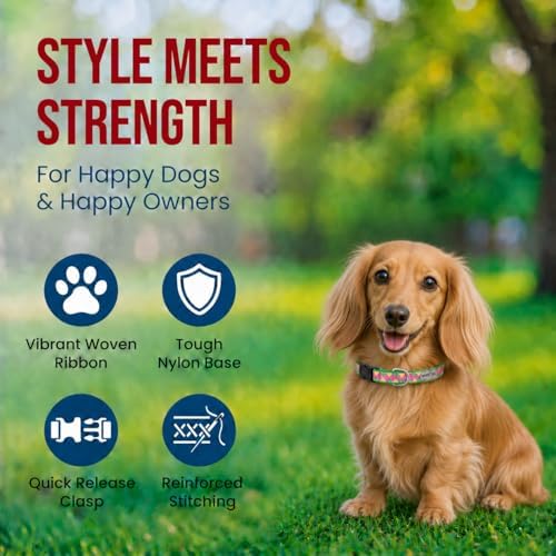 THE WORTHY DOG Summer Print, Adjustable Dog Collar, Small Dogs, Argyle