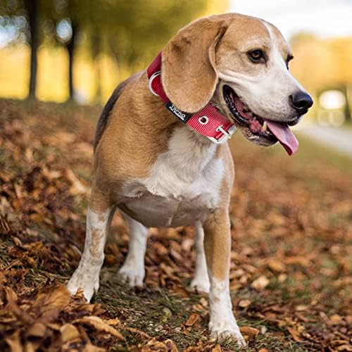 TSPRO Heavy Duty Thick Dog Collar with Metal Buckle for Small Dogs
