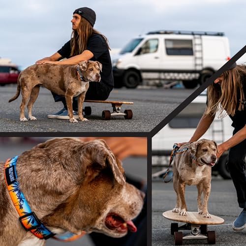 Wolfgang Heavy Duty, Adjustable Dog Collar with Quick Release Nylon Buckle for Walking & Training, SunsetPalms Print, Large