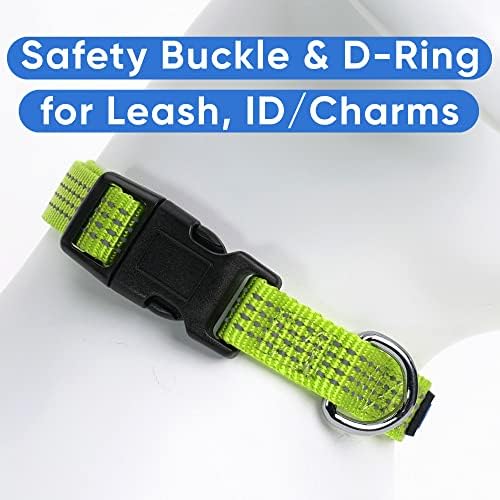 Pawtitas Reflective Dog Collar for X-Small Dogs – Adjustable Nylon Puppy Collar with Quick-Release Buckle | Fits Neck 8–13 in | Night Safety Training Collar | XS | Green
