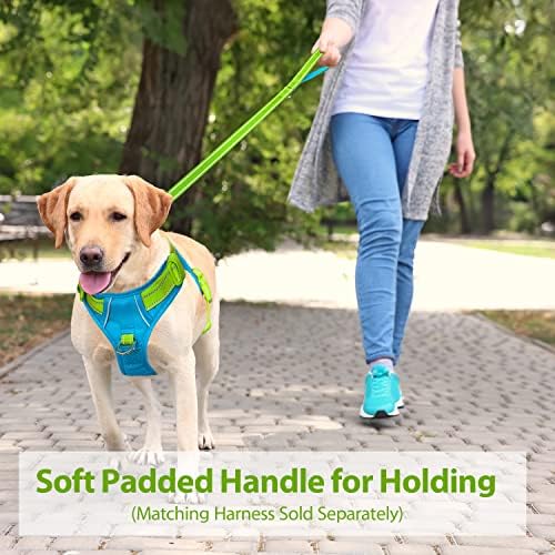 PHOEPET 5 Feet Dog Leash - Dual-Side Reflective - Soft Padded Handle