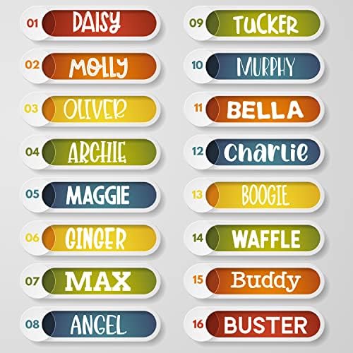 UPDATED - Personalized Dog Collars and Engraved Nameplate ID Tag, Reflective Nylon Dog Collar, Customizable in 11 Colors, 4 Adjustable Sizes, 16 Fonts, Dog Collar for Large, Small, Medium Dogs - Green