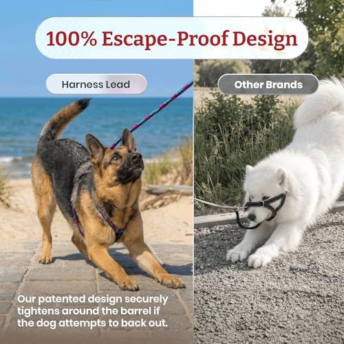Harness Lead No Pull Dog Harness and Leash Set, Anti Pull Dog Harness, One-Piece Cushioned Rope Safely Prevents Escaping and Pulling (Medium/Large, Reef)