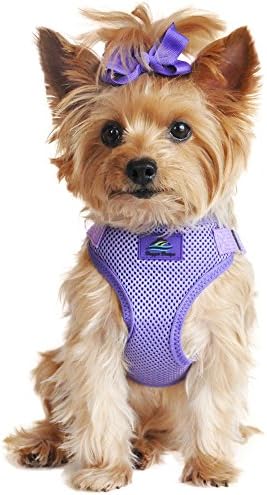 Doggie Design Dog Harness - No Choke Dog Harness, Dog Vest, Mesh Polyester, Pet Harness, Simple Step in and Go Design, Harness for Dog - Paisley Purple - M