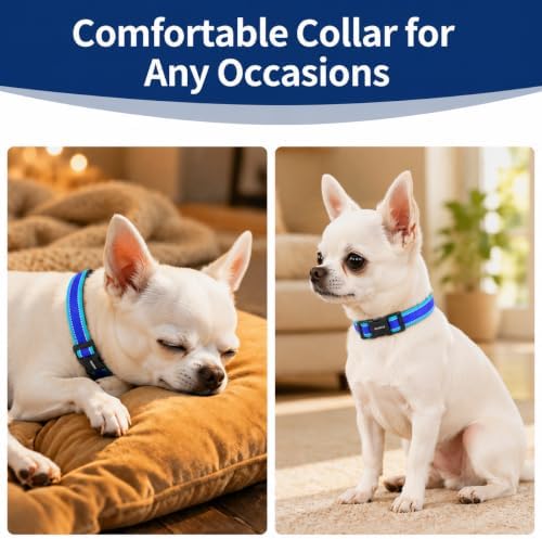 Kazazoo Small Dog Collar,Reflective Puppy Collar with Soft Padding Dog Collar No Pull,Lightweight, Nylon Collar for Puppies, Chihuahua, Yorkie & Teacup Dog 3-10 Lbs Blue-XS
