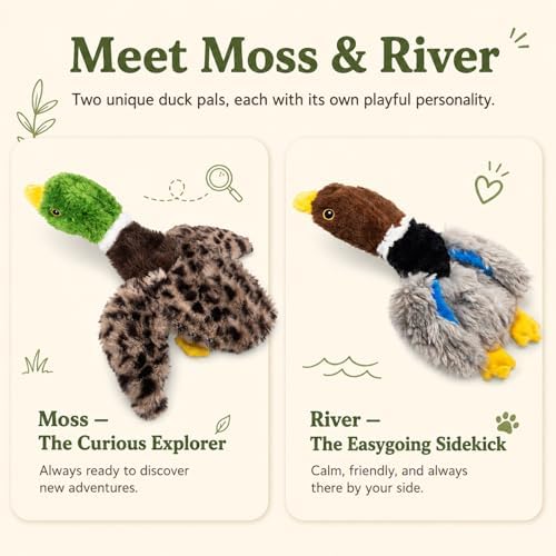 Stuffing-Free Duck Dog Toys, 2 Pack Plush Squeaky Toys with 6 Total Squeakers for Small Medium Dogs, Hollow Body Toys for Interactive Play