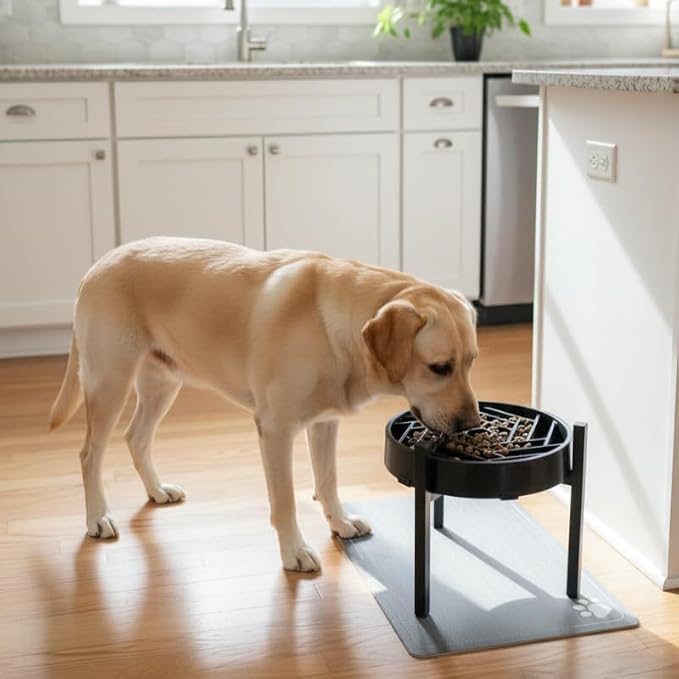 Adjustable Width Dog Bowl Holder - Single Bowl Feeder for Medium to Large Breed Dogs, fits Bowls from 8-11 inches, Sturdy Metal Construction, Ergonomic Design (Bowl not Included) (2Pack)