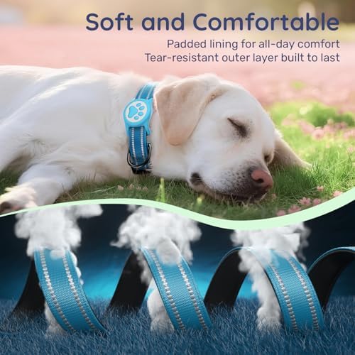 Premium Airtag Dog Collar，with IP68 Waterproof AirTag Holder,Blue,S