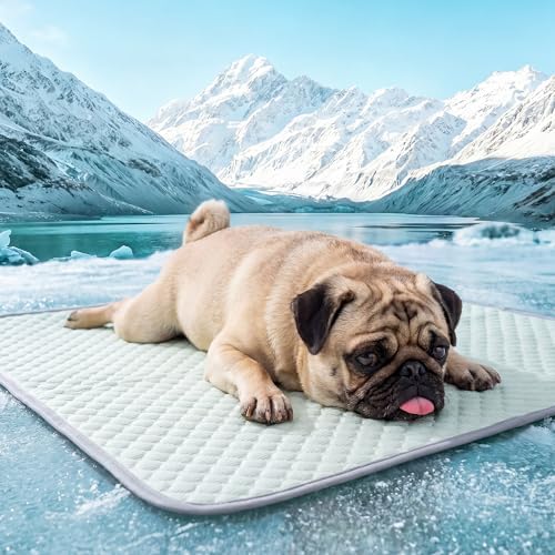 PatiencET Dog Cooling Mat, 28 x 40 in No-Gel Cooling Pad for Medium Dogs, Cool Touch Pet Mat with Ice-Dot Texture, Washable Summer Dog Mat for Crate, Floor, Sofa, Car, Light Green