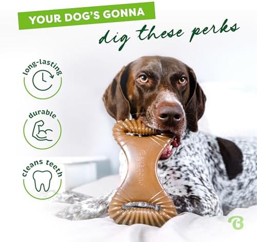 Benebone Dental Dog Chew Toy for Aggressive Chewers, Real Chicken, Medium