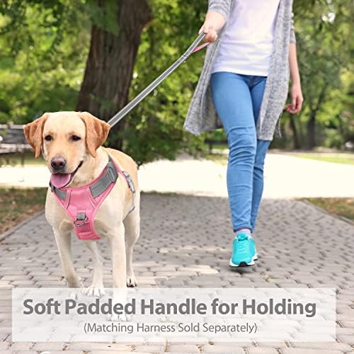 PHOEPET 5 Feet Dog Leash - Dual-Side Reflective - Soft Padded Handle