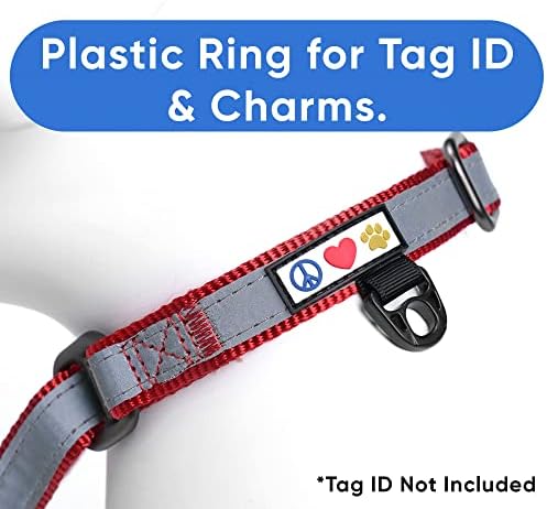 Pawtitas Martingale Dog Collar Puppy Collar Reflective Dog Collar Training Dog Collar Behavioral Dog Collar Small Dog Collar Red Dog Collar