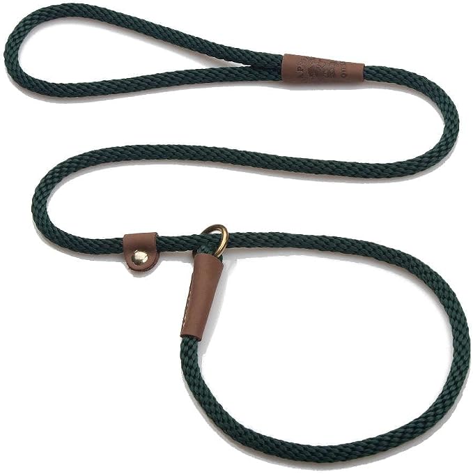 Mendota Pet Slip Leash - Dog Lead and Collar Combo - Made in The USA - Hunter Green, 3/8 in x 6 ft - for Small/Medium Breeds